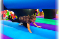 Schools Games