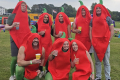 Fancy Dress Teams